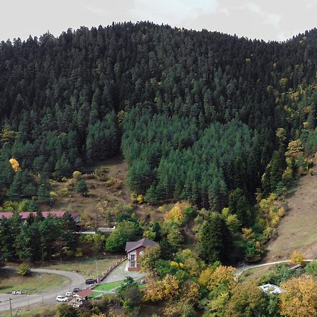 Holiday Borjomi Qvibisi Zewnętrze zdjęcie