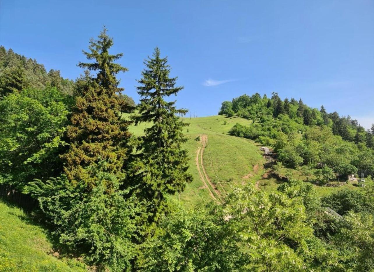 Holiday Borjomi Qvibisi Zewnętrze zdjęcie