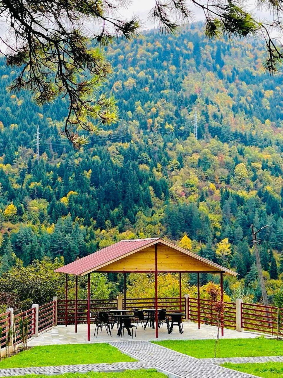 Holiday Borjomi Qvibisi Zewnętrze zdjęcie