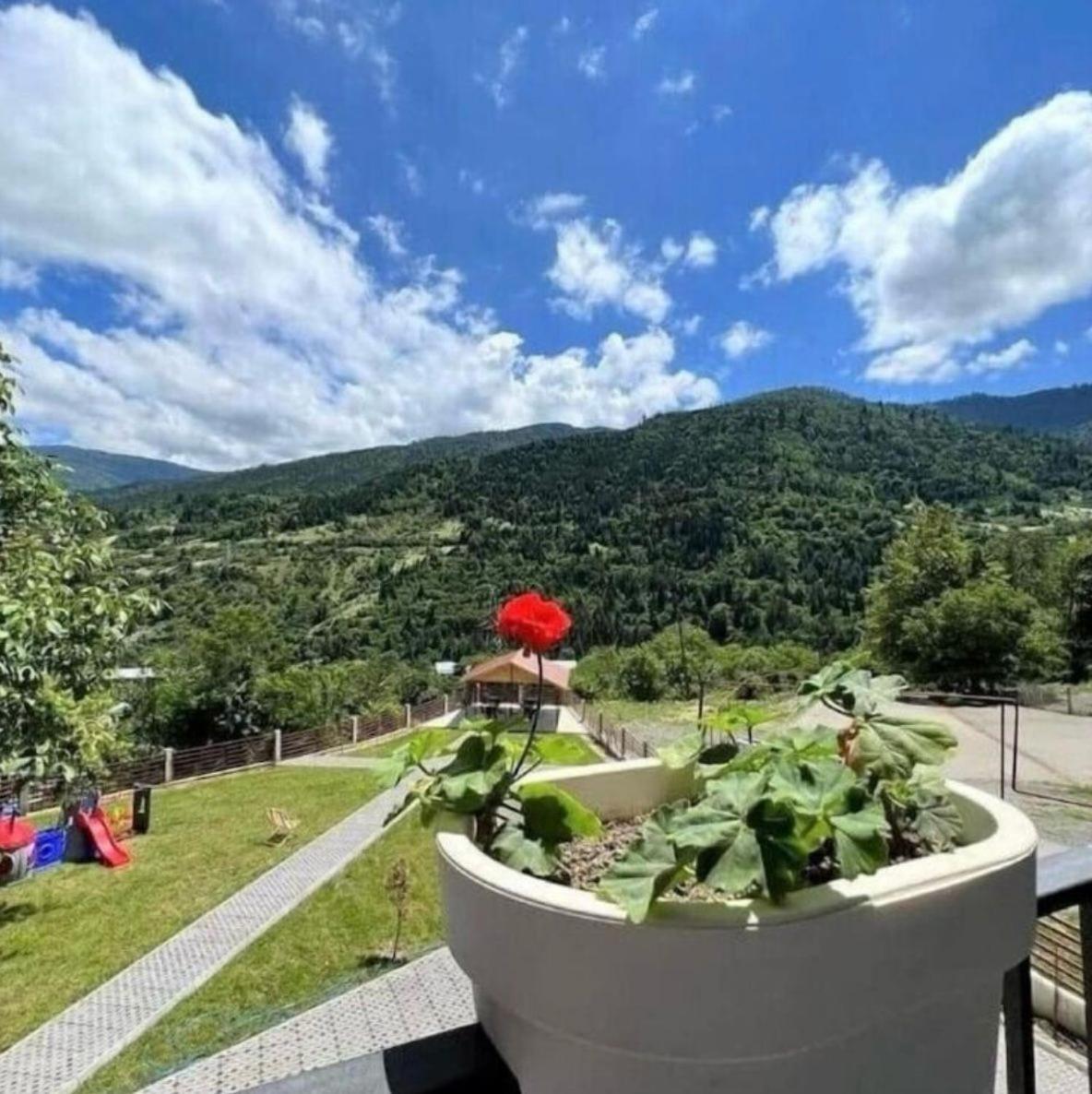 Holiday Borjomi Qvibisi Zewnętrze zdjęcie