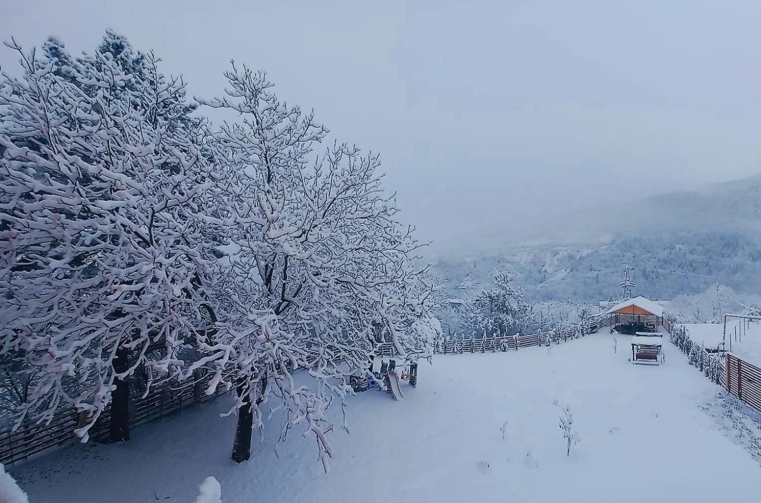 Holiday Borjomi Qvibisi Zewnętrze zdjęcie