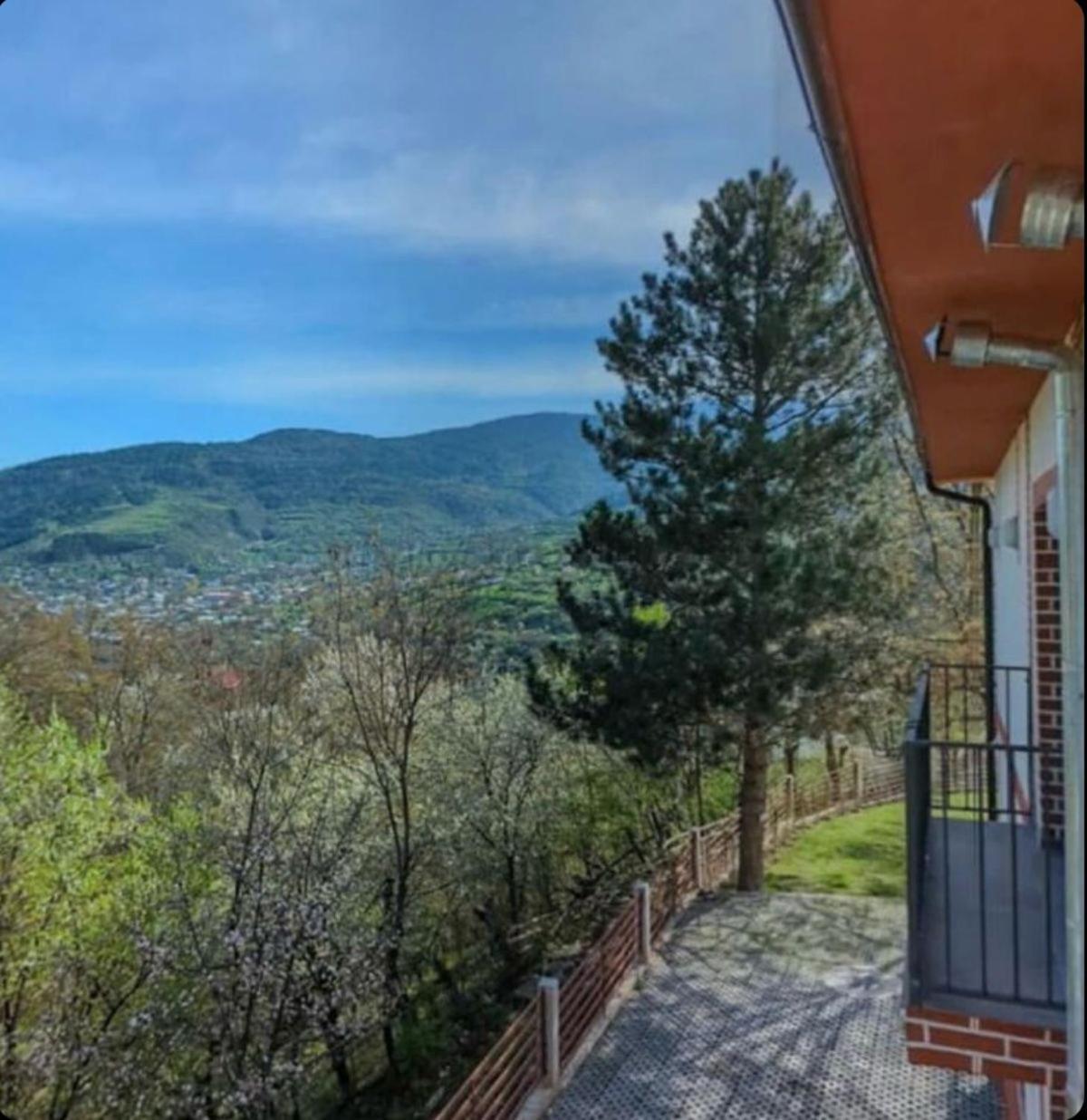 Holiday Borjomi Qvibisi Zewnętrze zdjęcie
