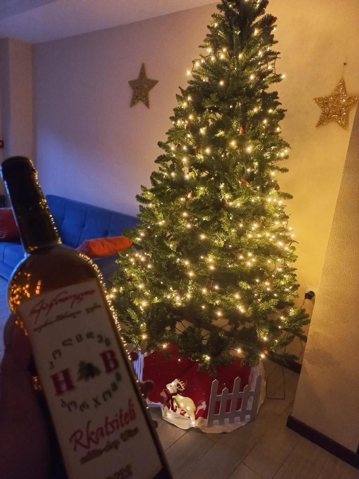 Holiday Borjomi Qvibisi Zewnętrze zdjęcie