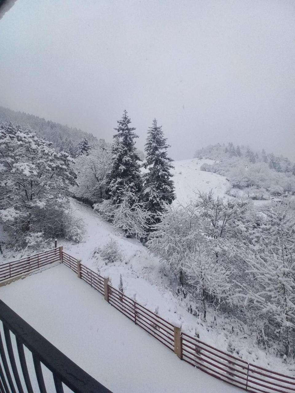 Holiday Borjomi Qvibisi Zewnętrze zdjęcie