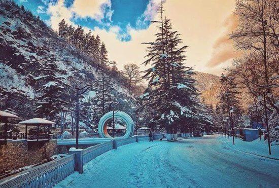Holiday Borjomi Qvibisi Zewnętrze zdjęcie