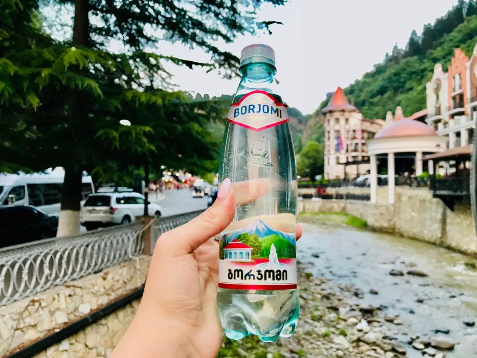 Holiday Borjomi Qvibisi Zewnętrze zdjęcie